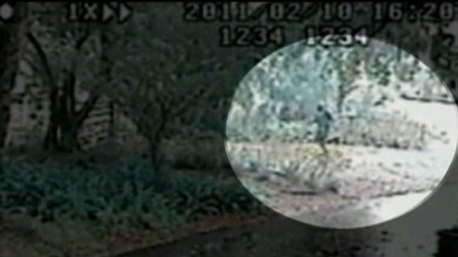 VIDEO: Sexual Assault in Florida