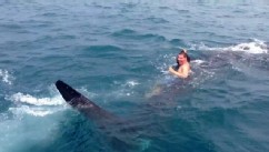 PHOTO: Chris Kreis, 19, spotted and rode a whale shark in the Gulf of Mexico while boating with his family.