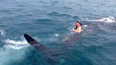 PHOTO: Chris Kreis, 19, spotted and rode a whale shark in the Gulf of Mexico while boating with his family.