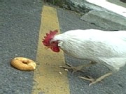 Chicken Crosses the Road ... for Doughnuts
