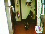 Dog Makes a Great Escape