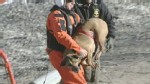 VIDEO: A New York dog runs back into icy waters after being rescued a first time.
