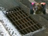 Video Sample