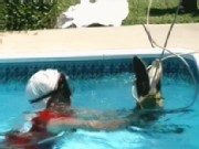 Man Wrestles Gator from Pool