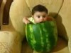 Video: Watermelon baby Youtube clip becomes viral hit.