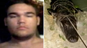 Photo: Florida Teen Loses Hand in Brutal Alligator Attack: Alligator That Attacked Tim Delano Later Captured, the Hand Still in its Stomach