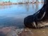 Frozen Pond Dangers: How to Stay Safe