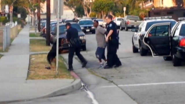 VIDEO: Police investigate fatal shooting of dog during owners arrest in Hawthorne, Calif.