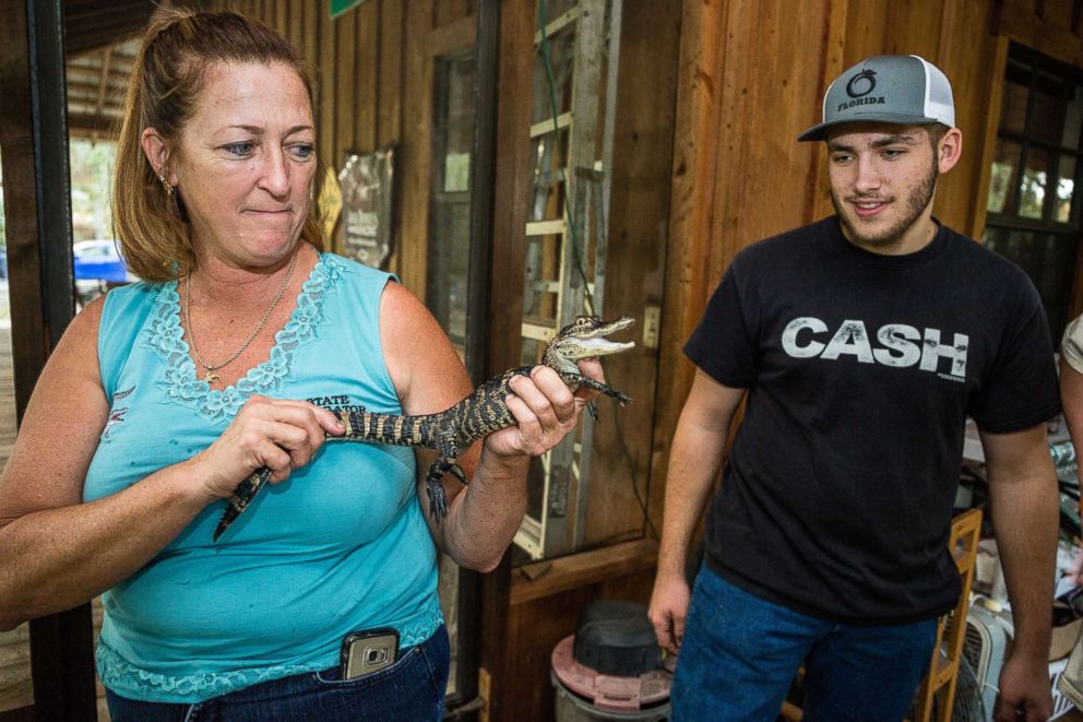 PHOTO: Julie Harter holds one of the baby alligators shes raising at home while her grandson Jacob McFarland watches.