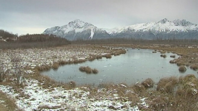 The states Board of Game says the remote-controlled devices give hunters an "unfair advantage."
