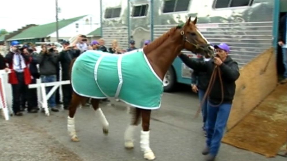 derby favorites