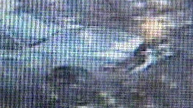 VIDEO: Officials in Santa Fe, N.M., are baffled by a mysterious image caught on camera.