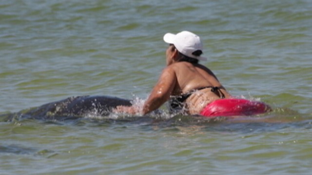 VIDEO: Ana Gloria Garcia Gutierrez didnt realize it was against the law to touch or harass manatees.