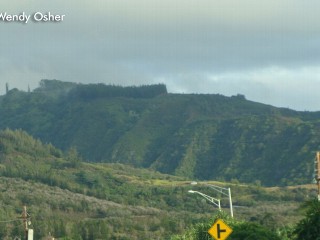 Watch: Two Men Survive Plunge Off Hawaii Cliff