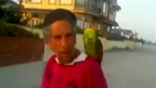 VIDEO: 25-year-old Captain flew off owners shoulder during NYC bike ride.