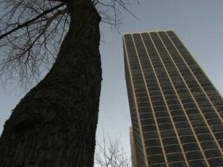 Watch: Woman Found Dead in Chicago Apartment Trash Chute