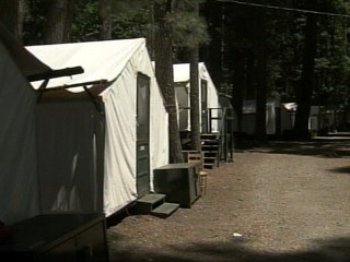 Watch: Yosemite Park Tourist Dies After Contracting Virus