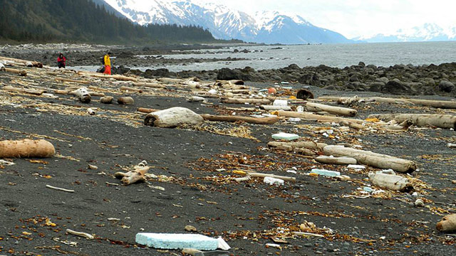 PHOTO: Debris is strewn across the shore of Montague Island near Seward, Alaska, in this June 6, 2012 photo provided by Chris Pallister.