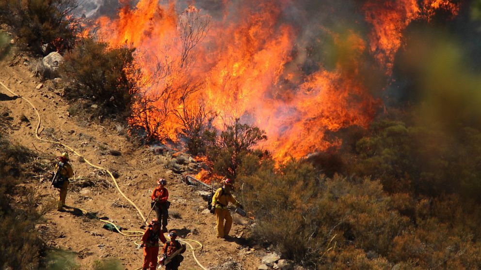 PHOTO: Firefighters in an engine company set fire to reinforce the line to stave off part of the Mountain Fire burning on July 17th, 2013.