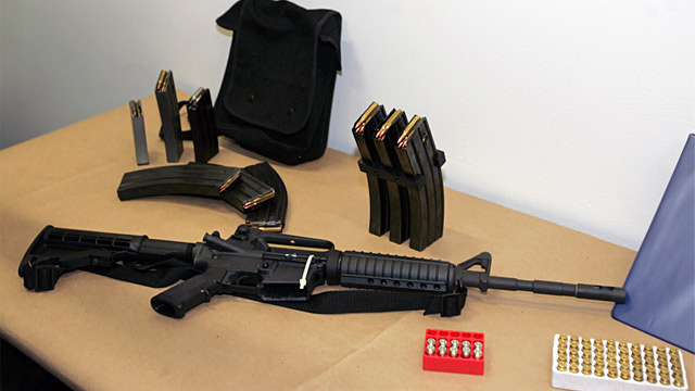 PHOTO: Bushmaster AR-15