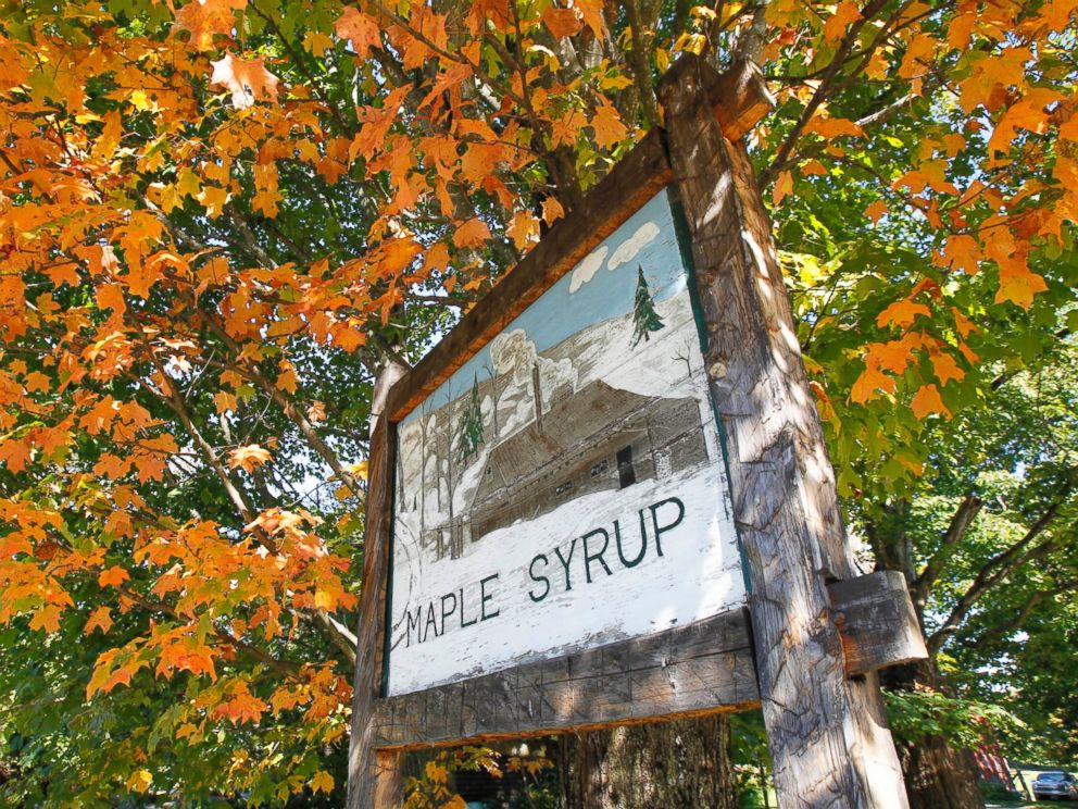 PHOTO: Colorful leaves hang on a tree in Craftsbury, Vt. on Sept. 12, 2012.