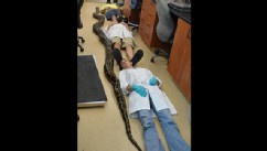 PHOTO: University of Florida staff members lie next to a dead 18-foot, 8-inch Burmese python on the campus in Gainesville, Fla. on May 15, 2013.