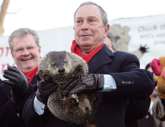 Meet the Groundhogs