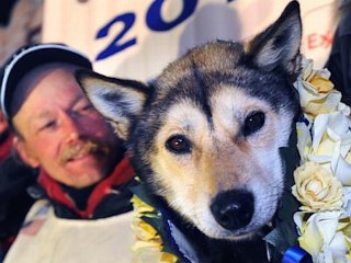 Photos: Iditarod Dog Sled Race 2013