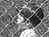 love canal