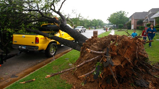 PHOTO: A fallen tree crushes a  truck in  Arlington, Texas Tuesday, April 3, 2012.