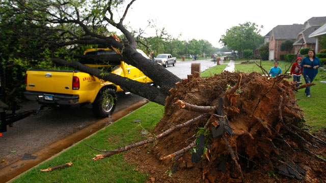 PHOTO: A fallen tree crushes a truck in Arlington, Texas Tuesday, April 3, 2012.