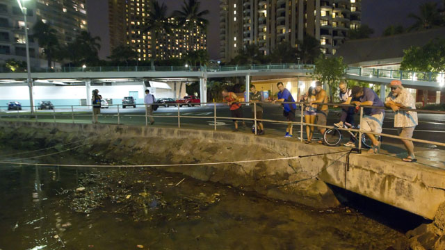 PHOTO: Visitors and Oahu residents watch the water level in the Ala Wai Harbor waiting for the arrival of a tsunami Saturday, Oct. 27, 2012, in Honolulu.
