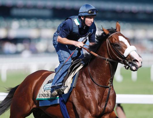 The Belmont Stakes Contenders