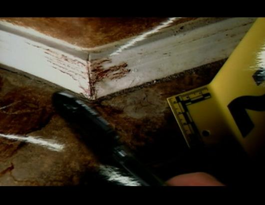 Blood was found around the home of Travis Alexander when police searched the premises.