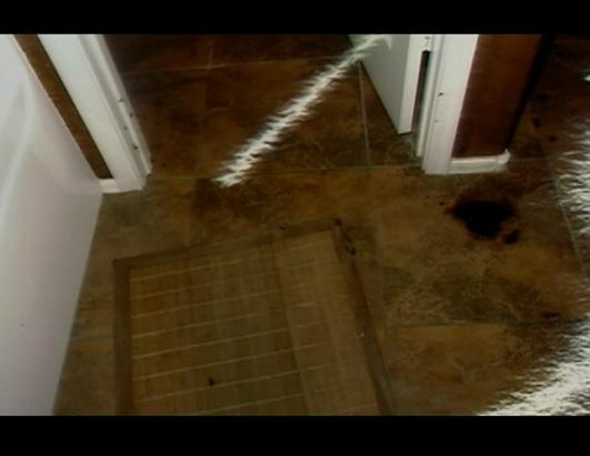 jodi arias evidence