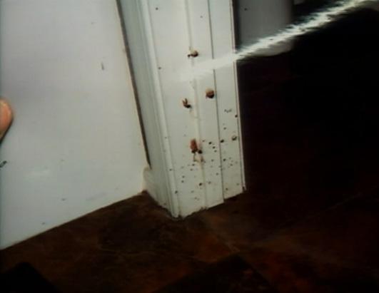 jodi arias evidence