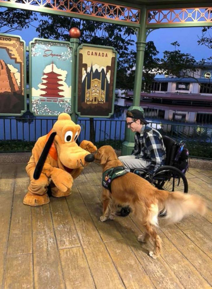 PHOTO: Julian Gavinos Golden Retriever service dog Atlas meets the giant version of Disney character Pluto at Epcot Center in Orlando, Fla., Jan. 19, 2018.