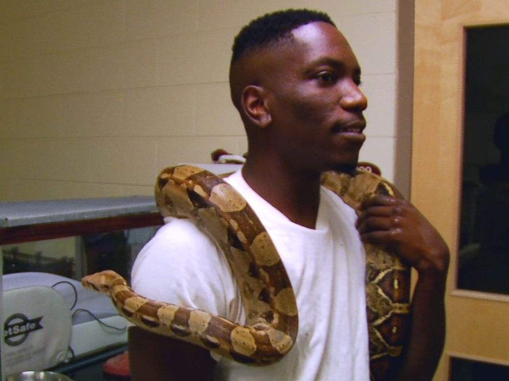 Snake found in hotel bed