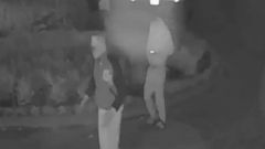 couple ambushed in chicago couple ambushed in chicago