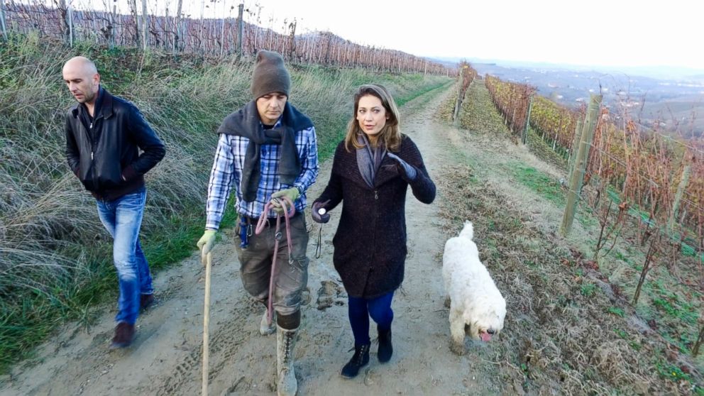 PHOTO: Ginger Zee tags along for a truffle hunt in Alba, Italy with activists Carlo Marenda and Edmondo Bonelli, founders of Save the Truffle.