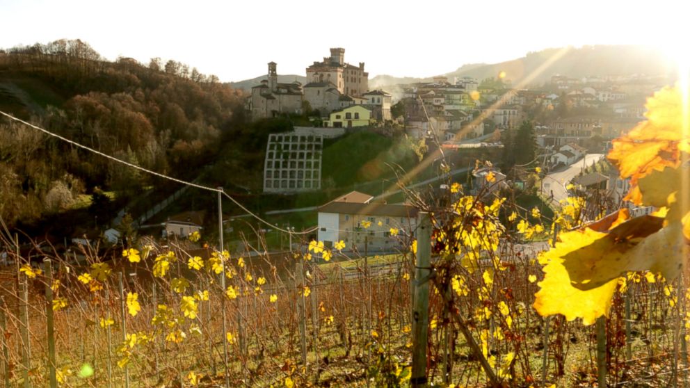 PHOTO: The Italian countryside in Barolo, Italy was once covered in forests, but is now home to high value crops like wine grapes and hazelnuts.