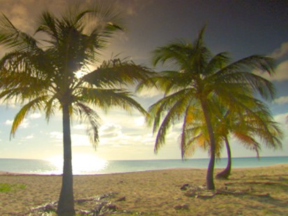 Weekend Window to Barbuda
