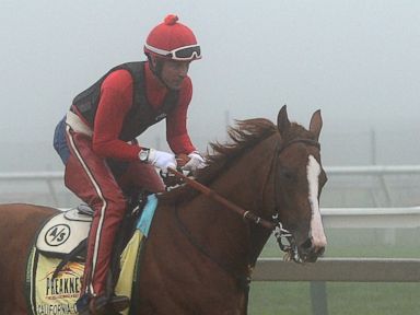Preakness Race This Saturday Will Give California Chrome Another Triple Crown Chance