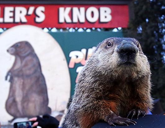 groundhog day news groundhog day 2014 picture groundhog day 2014 abc news groundhog day news groundhog day 2014 picture groundhog day 2014 abc news