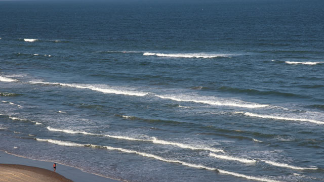 PHOTO: A 15-year-old swimmer was bit by a shark at a Texas beach.