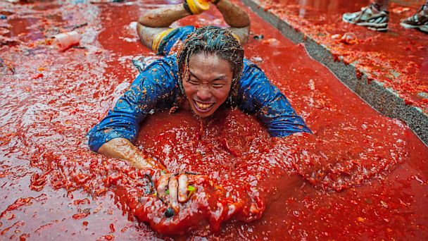 (David Ramos/Getty Images) gty tomatina tomato fight spain ml 130829 16x9 608 Instant Index: Spains Annual Tomatina Festival Draws Thousands