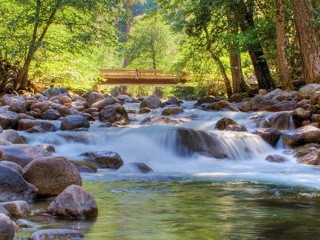1 Boy Dead, 1 Missing in Yosemite