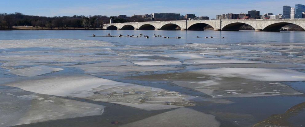 PHOTO: Birds rest on an ice patch on the Potomac River near the Memorial Bridge in Washington, DC January 20, 2018.