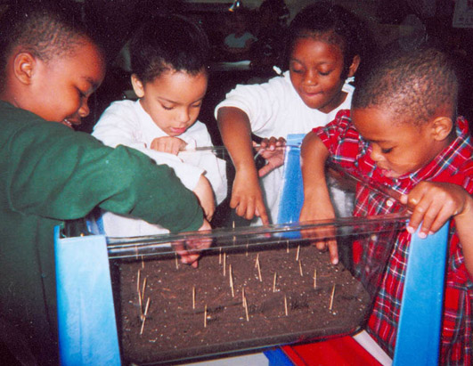 Kids donating