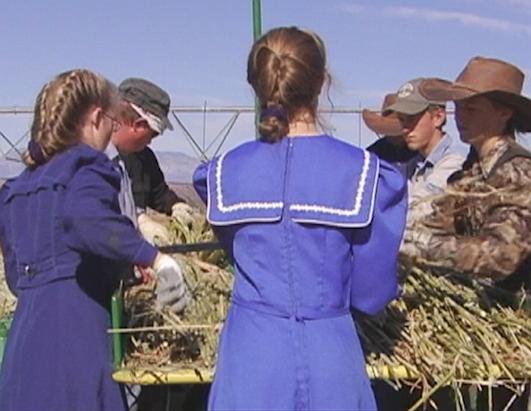 A Look Inside Polygamy